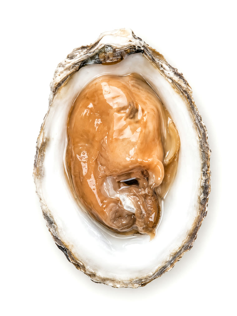 A single clean Malaysian oyster on the half shell