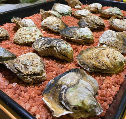 Oysters close up