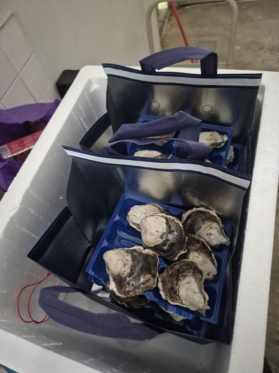 Oyster Bois delivery package